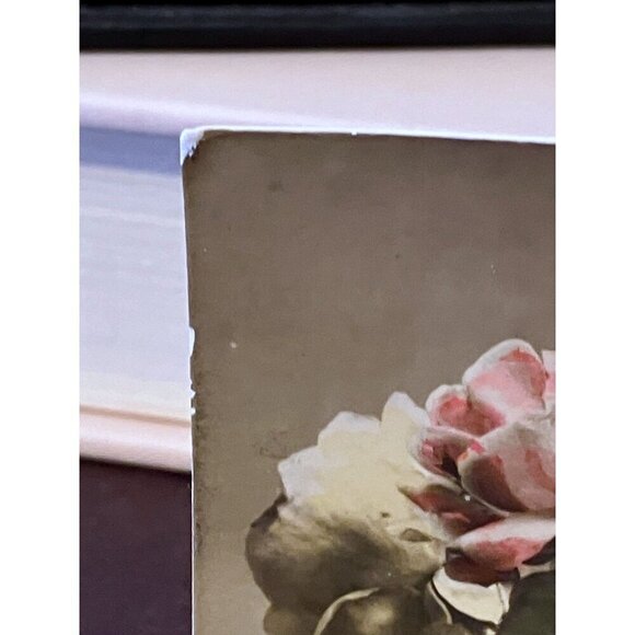 Antique French Postcard Roses Hand Colored Real Photograph Posted The Sower - Picture 8 of 9